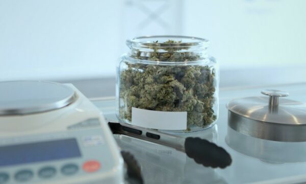 Medical cannabis retail price tracker
